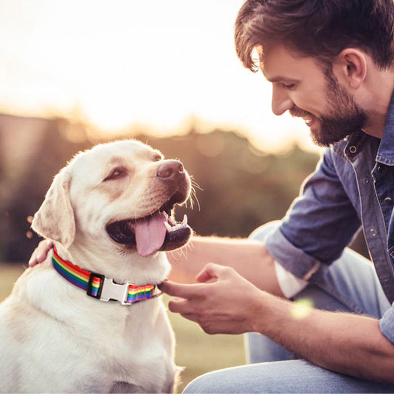 Oznaka za pse s imenom kućnog ljubimca. Personalizirana ogrlica za pse. Besplatna prilagođena ugravirana najlonska ogrlica za plažu s duginim printom za male srednje velike pse