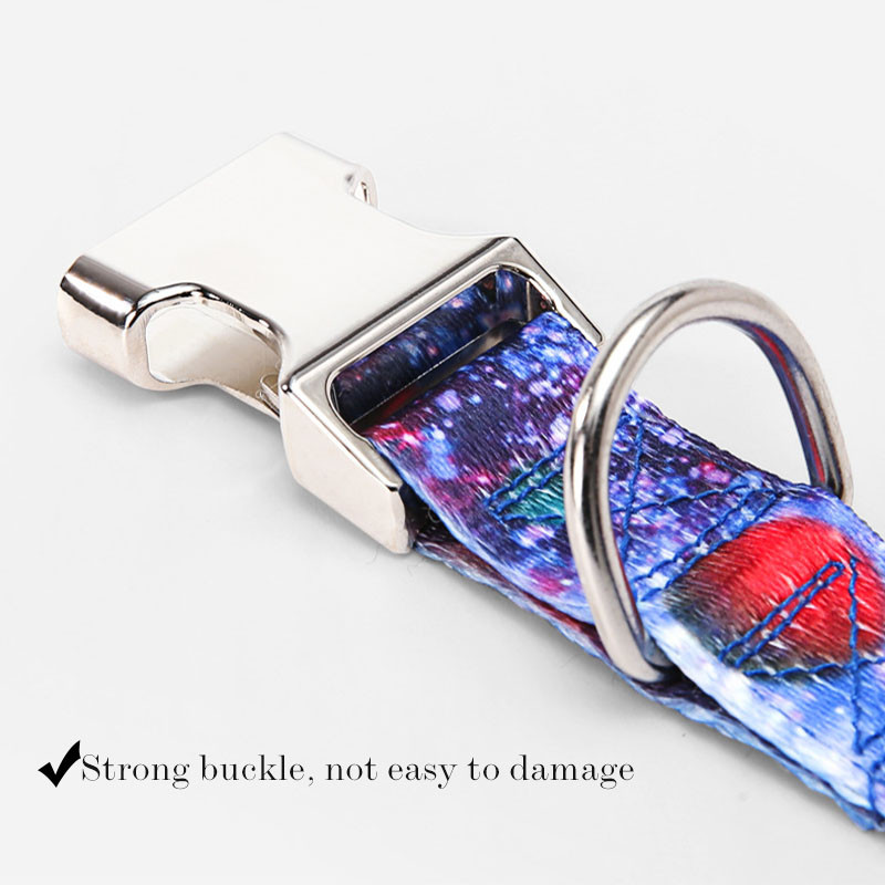 Oznaka za pse s imenom kućnog ljubimca. Personalizirana ogrlica za pse. Besplatna prilagođena ugravirana najlonska ogrlica za plažu s duginim printom za male srednje velike pse