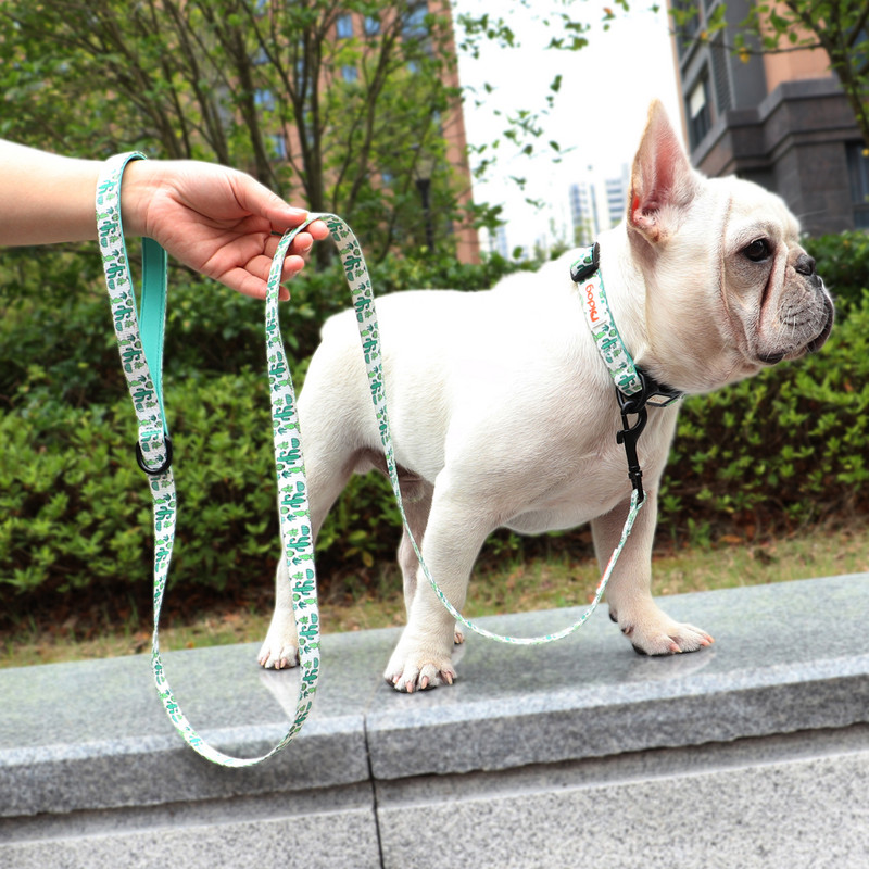 150 cm lesă pentru câini cu imprimeu din nylon pentru animale de companie, pisică, curea de plimbare, câini, pisică, frânghie de plumb, cu mâner căptușit, pentru câini, pisici, buldog, pug, chihuahua