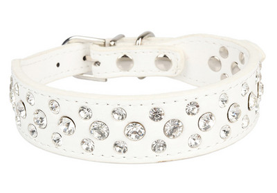 Μικρές γάτες Σκύλοι Κολάρα στρας Τσιουάουα Κολιέ για κατοικίδια Αξεσουάρ Κολάρο Κουτάβι Προμήθειες animaux αξεσουάρ chien