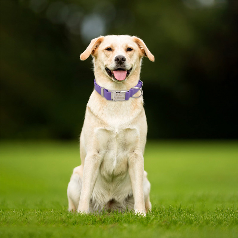 Guler personalizat din silicon pentru animale de companie, PVC, impermeabil, ajustabil, personalizat, cu gravură gratuită, nume și etichetă pentru telefon Accesorii pentru animale de companie