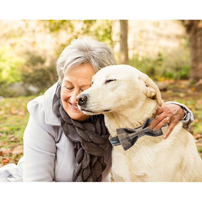 Guler de lână carouri maro Paws în stil unic cu nailon-cald și funde moale Guler de câine pentru câine mare, mijlociu mic