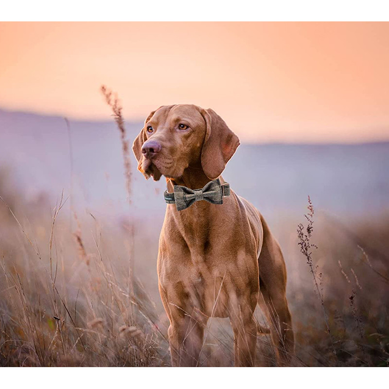 Guler de lână carouri maro Paws în stil unic cu nailon-cald și funde moale Guler de câine pentru câine mare, mijlociu mic
