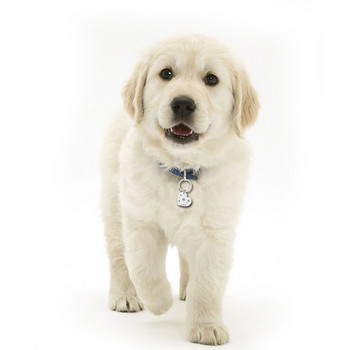 Персонализиращи се нашийници за кучета Адресни етикети за кучета Медал с гравирано име Коте Кученце Аксесоари Персонализирана верига за колие за котки