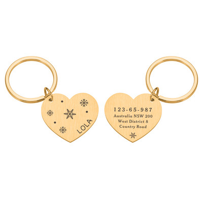 Kohandatavad koera kaelarihma aadressisildid koertele Medal graveeringuga nimega Kassipoja kutsika tarvikud Isikupärastatud kassi kaelakee kett