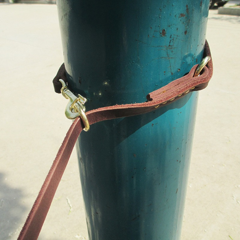 Multifunktsionaalne kaks koerarihma Ehtsast nahast topeltrihmad P-kett Kaelarihm Reguleeritav pikk lühike lemmiklooma Koerte jalutusrihmad