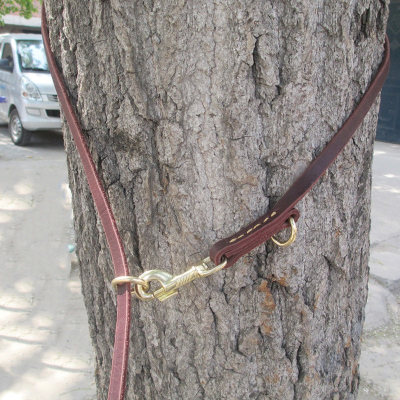 Multifunktsionaalne kaks koerarihma Ehtsast nahast topeltrihmad P-kett Kaelarihm Reguleeritav pikk lühike lemmiklooma Koerte jalutusrihmad