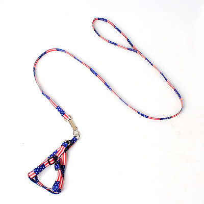 12 odabira boja Ogrlica za pse za kućne ljubimce Povodac Mekani pojas za hodanje mačaka za kućne ljubimce Olovo Šareno i izdržljivo uže za vuču Najlon 120 cm