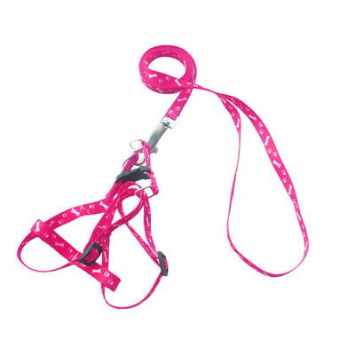 12 odabira boja Ogrlica za pse za kućne ljubimce Povodac Mekani pojas za hodanje mačaka za kućne ljubimce Olovo Šareno i izdržljivo uže za vuču Najlon 120 cm