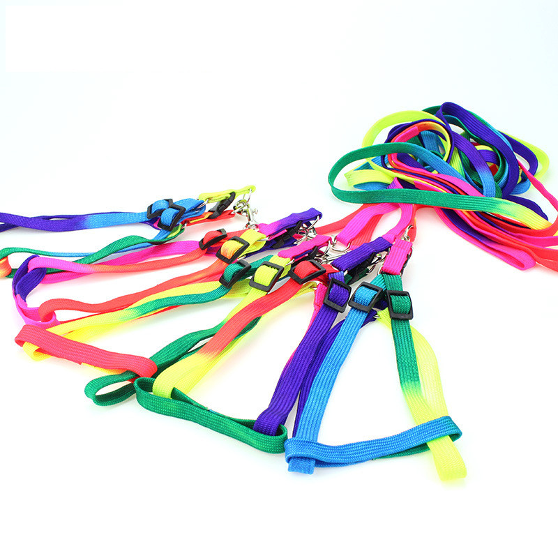 Ρυθμιζόμενο λουρί Rainbow Small Pet Dog Nylon Πολύχρωμα λουριά για κουτάβι Walk Out Κολάρο γιλέκου με λουράκι χεριών για σκύλους γάτες