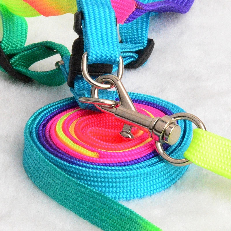 Ρυθμιζόμενο λουρί Rainbow Small Pet Dog Nylon Πολύχρωμα λουριά για κουτάβι Walk Out Κολάρο γιλέκου με λουράκι χεριών για σκύλους γάτες