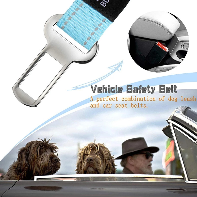 Πολυλειτουργικό λουρί βαρέως τύπου Bungee Dog Reflektive Training Leash 2 Traffic Handle Dog Seat Seat Zog