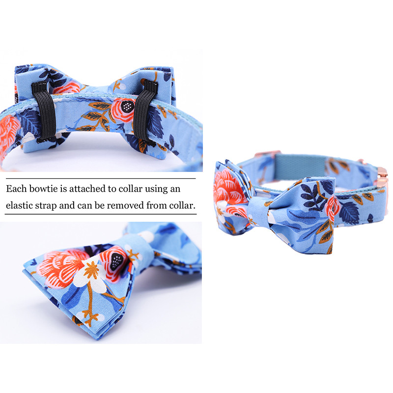 Guler sau lesă pentru câini sau pisici cu funde Design cu puncte gri cu chingă din bumbac, floare albastră