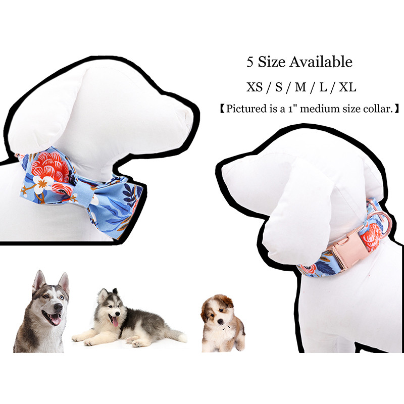 Guler sau lesă pentru câini sau pisici cu funde Design cu puncte gri cu chingă din bumbac, floare albastră