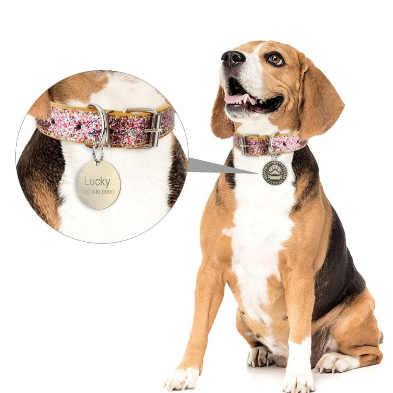 Animal de companie, pisică, etichetă de identificare pentru câine, accesorii pentru guler, colier personalizat gravat, furnituri pentru lanț, etichetă pentru câine, pandantiv anti-pierdere DIY
