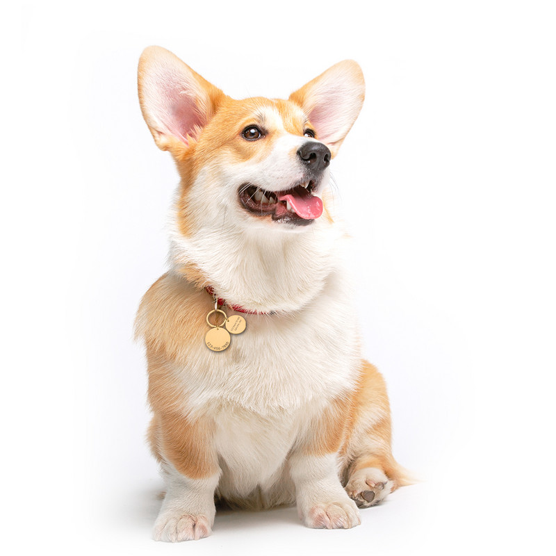 Etichetă de identificare personalizată pentru animale de companie, gravată cu laser, Număr de identificare a animalelor de companie, pentru cățeluș, pisică, etichetă de identificare pentru câine, din oțel inoxidabil Accesorii pentru guler pentru animale de