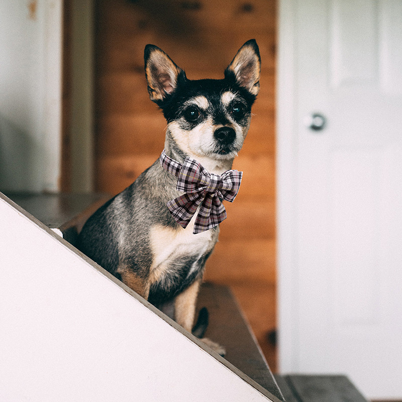 Guler de câine din bumbac cu labele în stil unic cu fundă de marinar Guler de cățel în carouri negru pentru câine mic, mediu, mare