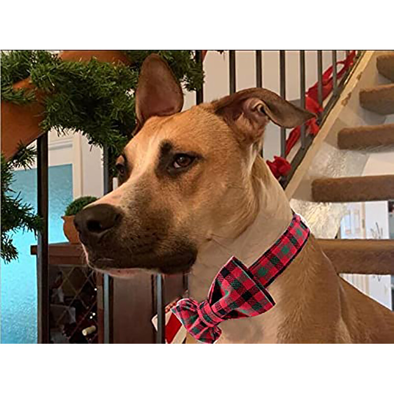 Ainulaadse stiiliga käpad Koera jõulukaelarihm kikilipsuga jalutusrihmaga punane ruuduline kaelarihm lemmiklooma kingitus koertele ja kassidele