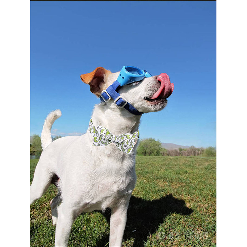 Personalizirani komplet ogrlica za pse i povodca od pamučne tkanine zelenog dinosaura s leptir mašnom za psa Metalna kopča Dodaci za kućne ljubimce