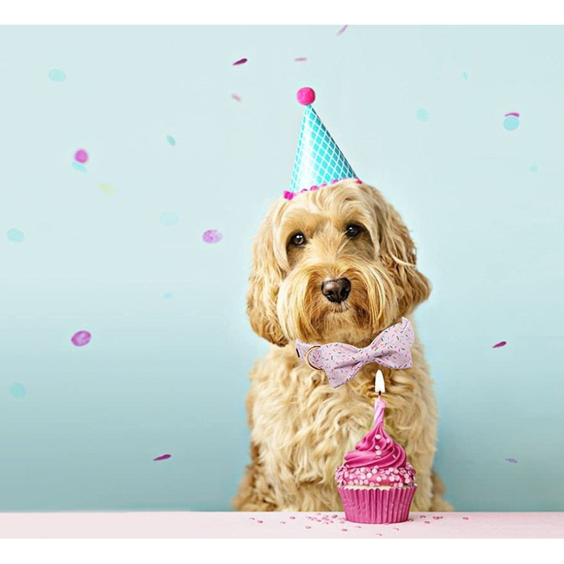 Μοναδικό στυλ Paws βαμβακερό κολάρο σκύλου με παπιγιόν ροζ κολάρο γενεθλίων για κουτάβι για μικρό μεσαίο μεγάλο σκυλί