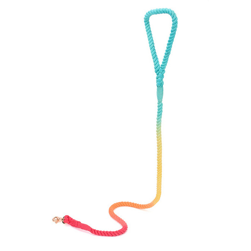 Coarda pentru câini curcubeu, dresaj de mers pe jos, lesă tricotată pentru pisici, culoare bomboană, pentru câini mici, mijlocii, mari.
