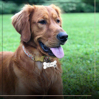 Εξατομικευμένες ετικέτες ταυτότητας κατοικίδιων ζώων κατά της απώλειας Λείες ετικέτες από ανοξείδωτο ατσάλι Κρεμαστό κολάρο για σκύλους Μετάλλιο με αξεσουάρ σκυλιών χάραξης