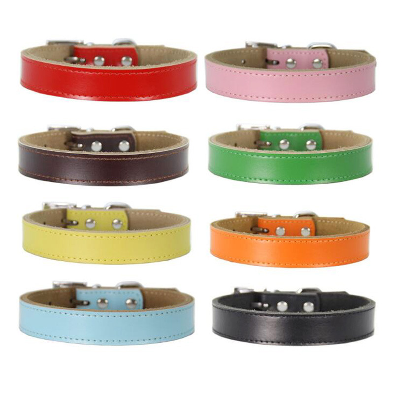 Īstas ādas suņu kaklasiksna Vienkārša dizaina Čivavas maza suņa kaklasiksna Regulējama kaķa kakla siksna Ādas svina kakla siksna perro petshopXS-XL