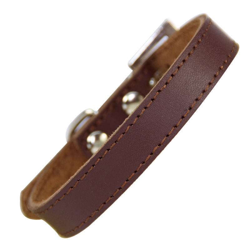 Īstas ādas suņu kaklasiksna Vienkārša dizaina Čivavas maza suņa kaklasiksna Regulējama kaķa kakla siksna Ādas svina kakla siksna perro petshopXS-XL