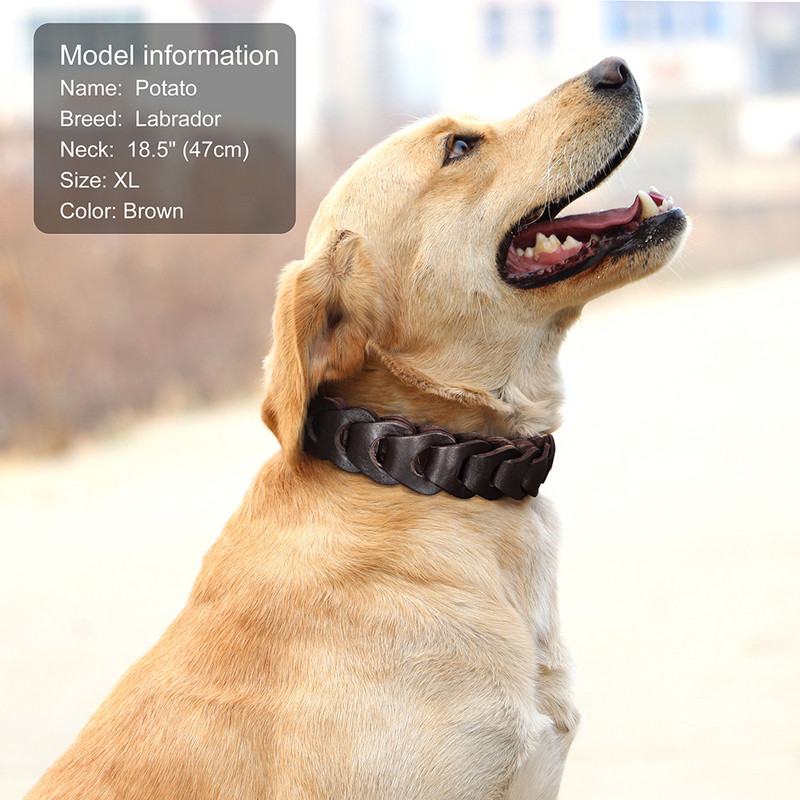 Ogrlica za pse od kravlje kože Prava koža Ogrlice za velike pse Labrador Ogrlice za kućne ljubimce Pribor za srednje velike pse Njemački ovčar