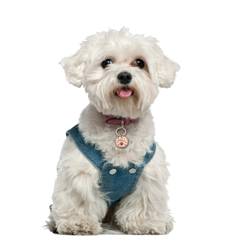 Etichete personalizate Etichete de identificare pentru câini anti-pierdute Cadouri pentru iubitorii de câini Etichete pentru zgarda pentru proprietarul de câine Etichetă gravată pentru animale de companie Cadouri noi etichete pentru cățel