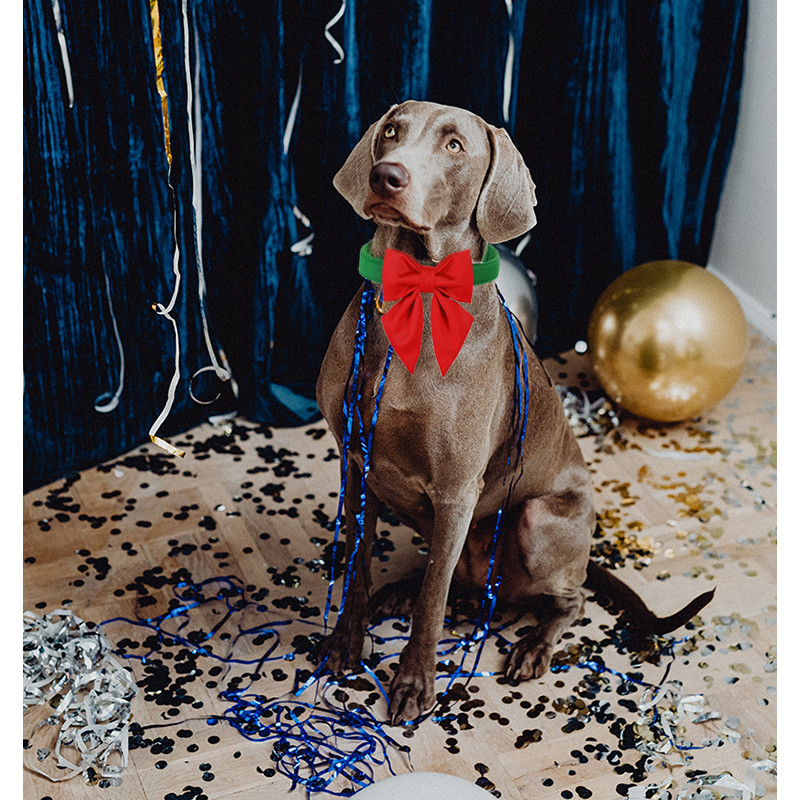 Προσωποποιημένο Μοναδικό Στιλ Paws Hot Pink Dog Collar με Σετ παπιγιόν για Small Medium Large κολάρο γάμων για σκύλους