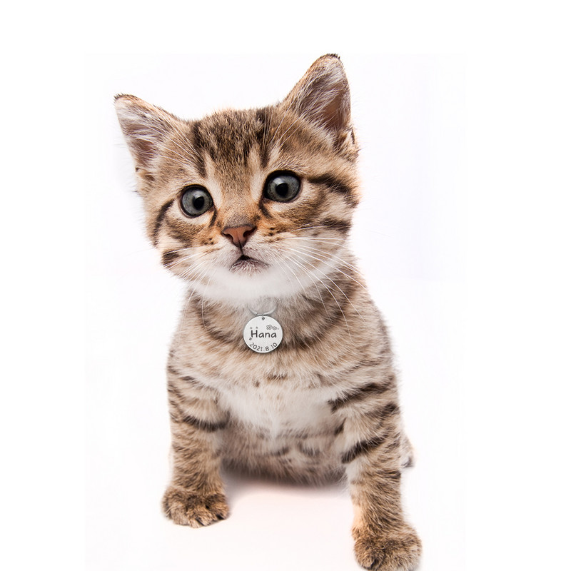 Etichetă personalizată de identificare pentru câine și pisică, gravură gratuită, etichete de aniversare pentru cățel, etichetă personalizată pentru guler pentru pisici, etichetă personalizată pentru pisici, etichete cu nume pentru animale de companie