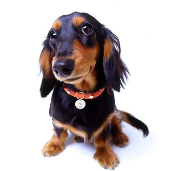 Гравирано куче Pet ID Tag Персонализирано име Телефон Pet ID Име за котка Puppy Dog Tag Висулка Ключодържател Аксесоари за домашни любимци Dropshipping