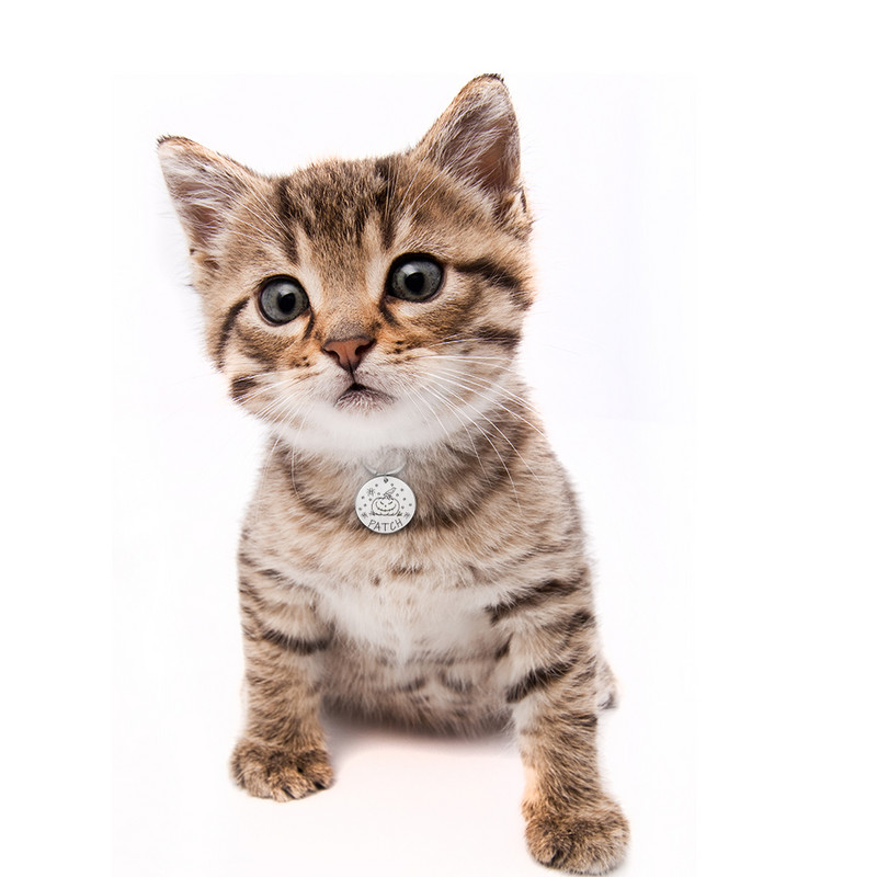 Etichetă personalizată pentru câine, din oțel inoxidabil, etichete de identificare gravate cu numele pentru zgarda de câine.