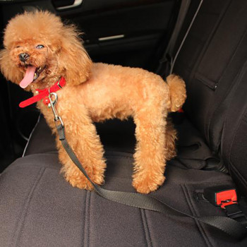 Ρυθμιζόμενη ζώνη ασφαλείας αυτοκινήτου κατοικίδιων ζώων για γάτες και σκύλους νάιλον υλικό Ζώνη ασφαλείας για σκύλους Μικρό και μεσαίο λουρί για κουτάβι ταξιδιού Αξεσουάρ σκύλου