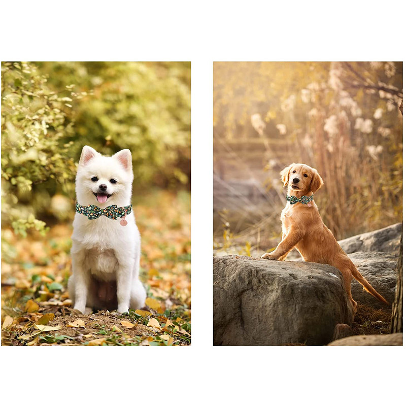 Unikaalse stiiliga käpad, isikupärastatud puuvillane koera kaelarihm koos kikilipsuga reguleeritava jõulurihm lemmikloomakoerale suurele keskmisele väikesele koerale