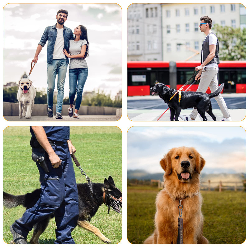 Benepaw, prava koža, kratki povodac za pse, izdržljiva, udobna podstavljena ručka, olovo za kućne ljubimce, nehrđajuća kuka, odlična kontrola za šetnju