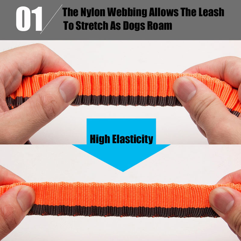 Truelove Dog Running Bungee Lesa de mana de mana din talie Ajustabil Nylon Elastic Retractabil Caine Lease pentru Jogging Plimbare Portocaliu