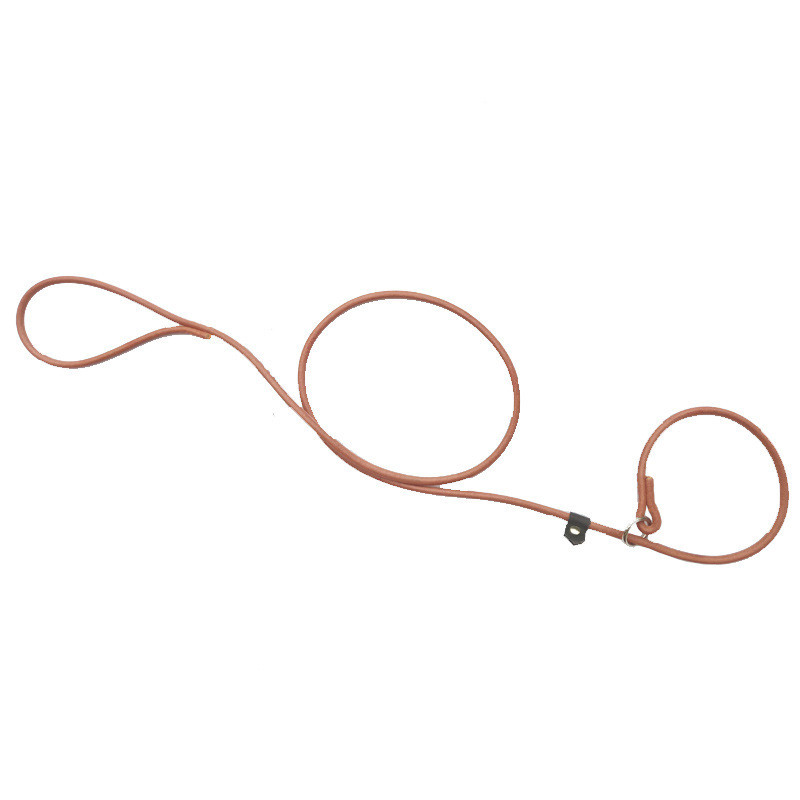 Προμήθειες κατοικίδιων ζώων με λουρί Pet Dog Leash Cowhide Traction Ενσωματωμένο λουρί P-chain σκύλου χρησιμοποιείται για την εκπαίδευση κουταβιών P-chain Pet Supplies