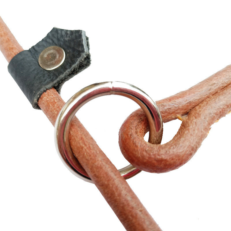 Προμήθειες κατοικίδιων ζώων με λουρί Pet Dog Leash Cowhide Traction Ενσωματωμένο λουρί P-chain σκύλου χρησιμοποιείται για την εκπαίδευση κουταβιών P-chain Pet Supplies