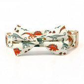 Guler pentru câini dinozaur, Arc personalizat pentru zgarda pentru câine Dino cu ham de lesă asortat