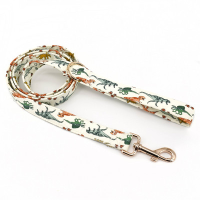 Guler pentru câini dinozaur, Arc personalizat pentru zgarda pentru câine Dino cu ham de lesă asortat