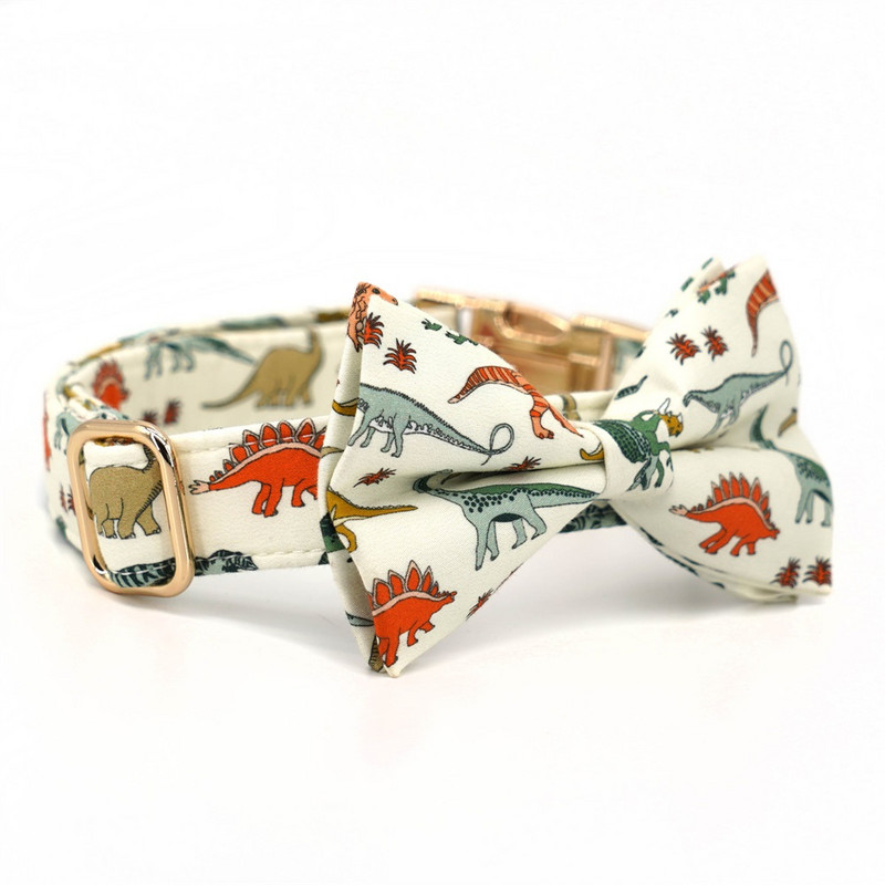 Guler pentru câini dinozaur, Arc personalizat pentru zgarda pentru câine Dino cu ham de lesă asortat