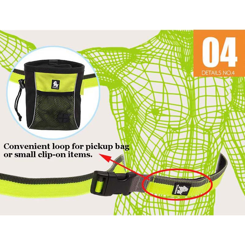 Truelove Dog Running Benji jalutusrihm, käeshoitav vöökohaga reguleeritav nailonist elastsed ülestõstetavad koerarihmad jooksmiseks ja kõndimiseks