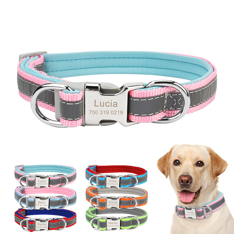 Lemmiklooma kaelarihm Kohandatud nime kiri Helkur Koera kaelarihm Kutsikas Kassi Kadumisevastane Isikupärastatud Prindi ID Sildid Graveerimine Väike keskmine koer