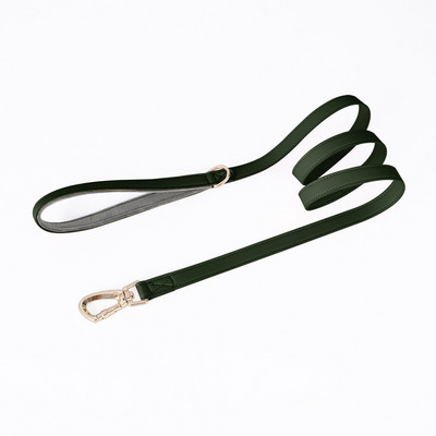 Airtag lemmikloomade kaelarihma jälgija GPS-i jaoks lemmikloomade koera kaelarihm kadumisevastane koera kassi kaelarihm, reguleeritav asukoha jälgija kaelarihm