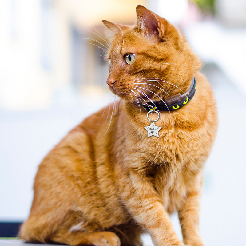 Etichetă de identificare pentru câine de companie gravată gratuit Etichetă de identificare personalizată pentru cățeluș de pisică Accesorii pentru guler pentru câini de companie personalizate Etichete cu nume anti-pierdute pentru câini pandantiv