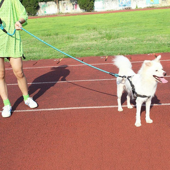 Λουρί λουριών από νάιλον σκύλους για μεσαίου μεγέθους σκύλους Εκπαίδευση κατοικίδιων οδηγών Τρέξιμο στο περπάτημα Ασφάλεια αναρρίχησης λουριών σκύλου Προμήθεια σχοινιών