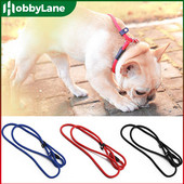 Στρογγυλό νάιλον κολάρο σκύλου Λουρί ολίσθησης σχοινιού Λουρί λουρί λουριών λουριών λουριών λουριών ρυθμιζόμενες προμήθειες για κατοικίδια Αξεσουάρ λουριά εκπαίδευσης σκύλων