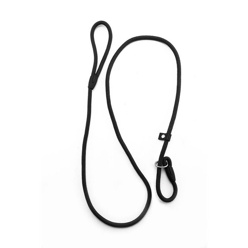 Στρογγυλό νάιλον κολάρο σκύλου Λουρί ολίσθησης σχοινιού Λουρί λουρί λουριών λουριών λουριών λουριών ρυθμιζόμενες προμήθειες για κατοικίδια Αξεσουάρ λουριά εκπαίδευσης σκύλων